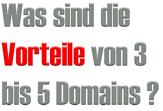 viele domains besser als eine?