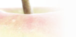 vin02tage