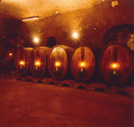vin18tage